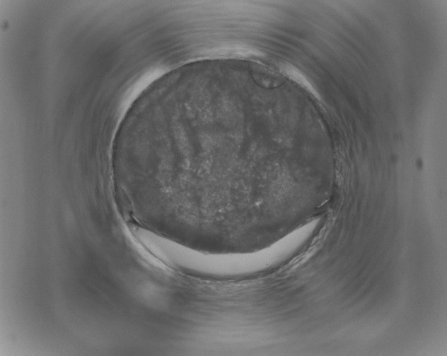 X0000075921087200610062202