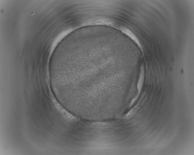 X0000075921088200610062202