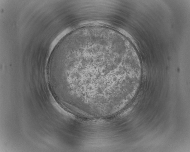 X0000075921090200610062201