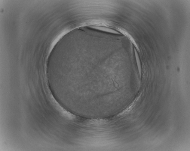 X0000075921091200610062201