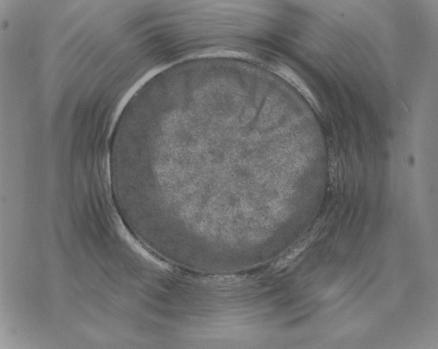 X0000075921092200610062201