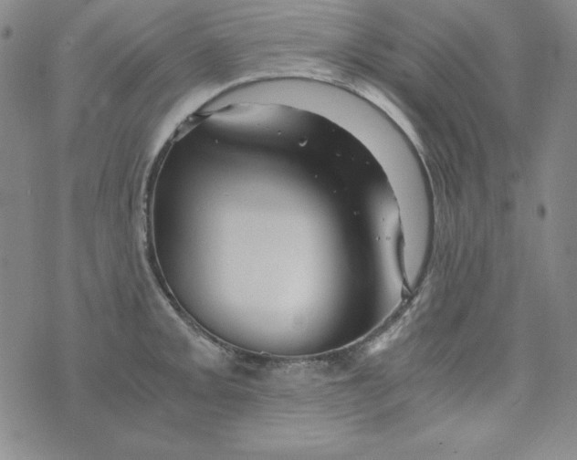 X0000075921093200610062201