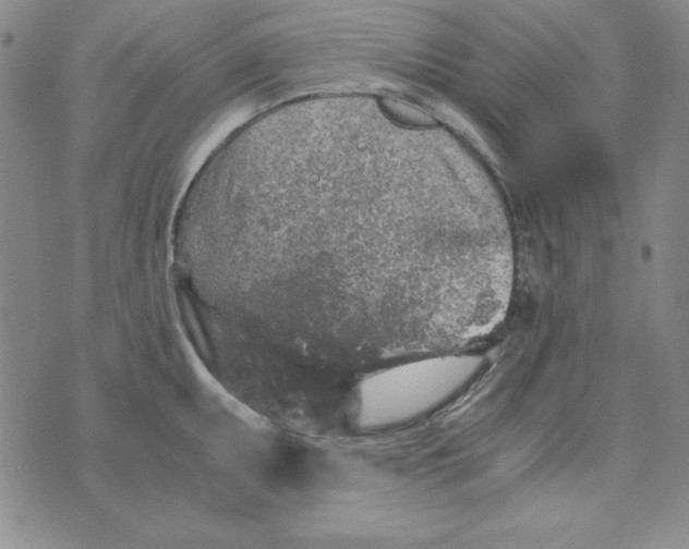 X0000075921095200610062201