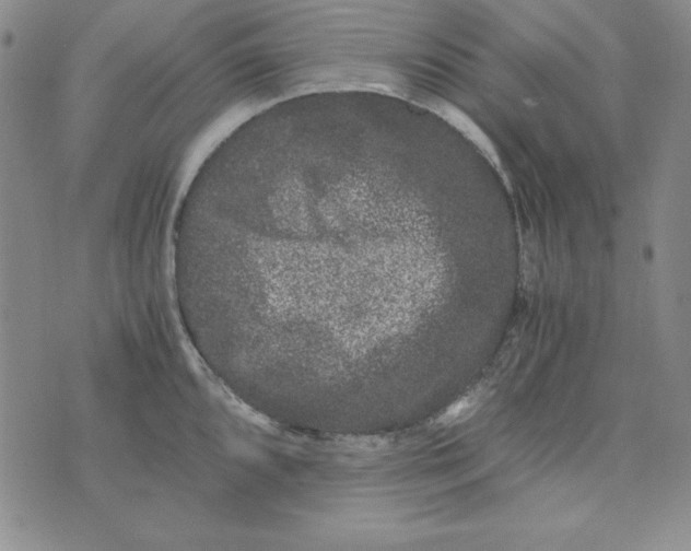 X0000075921096200610062201