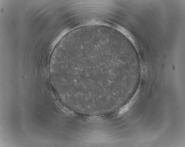 X0000075921097200610062201