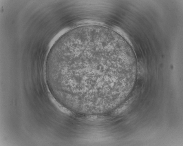 X0000075921098200610062201