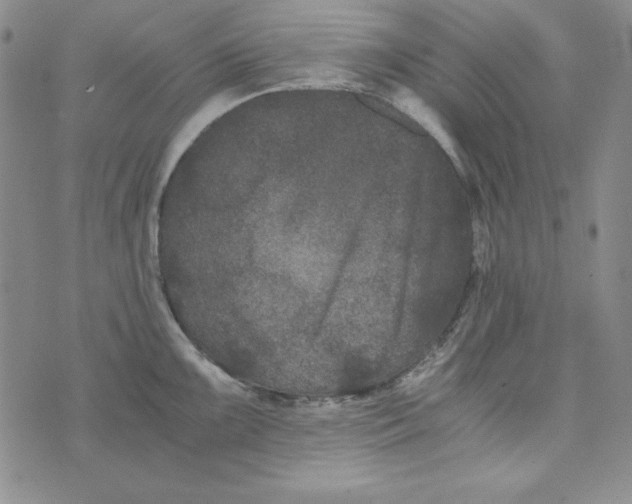 X0000075921099200610062201