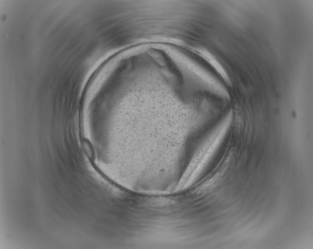 X0000075921100200610062201