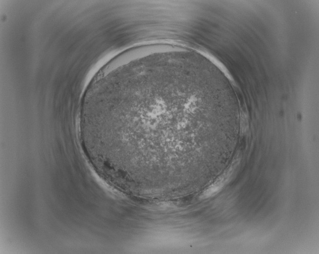 X0000075921101200610062201