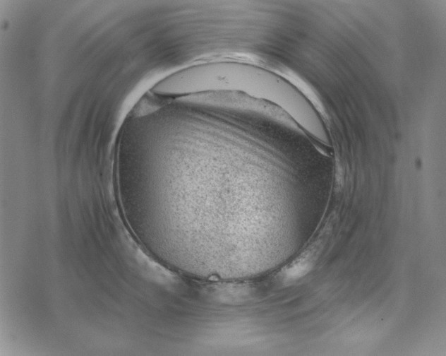 X0000075921102200610062201