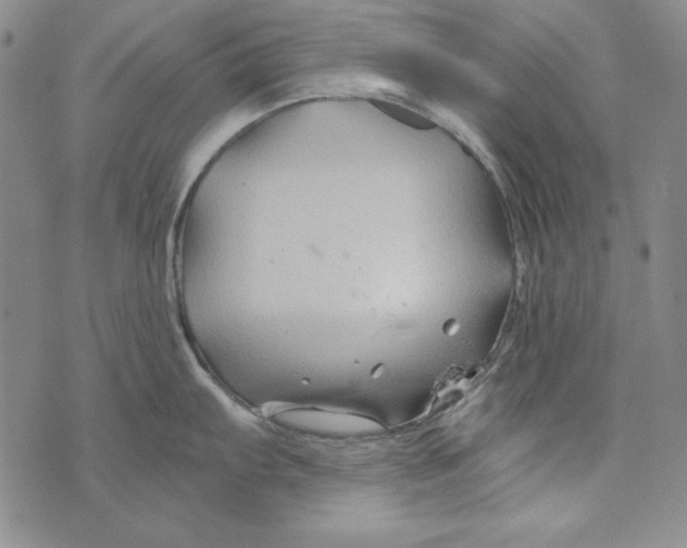 X0000075921103200610062201