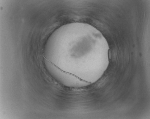 X0000075921105200610062200