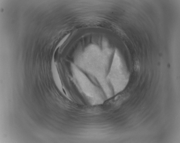 X0000075921108200610062201