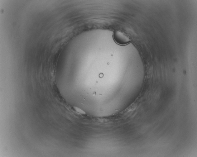 X0000075921109200610062201