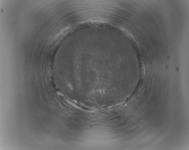 X0000075921110200610062201