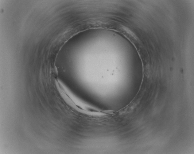 X0000075921111200610062201