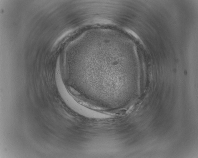 X0000075921112200610062201