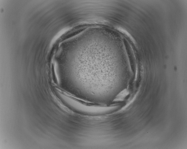 X0000075921114200610062201