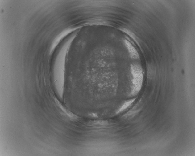 X0000075921115200610062201