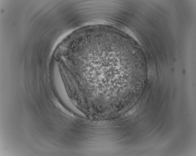 X0000075921116200610062201