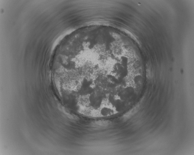 X0000075921117200610062201