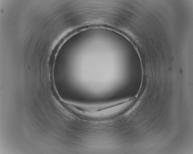 X0000075921118200610062201