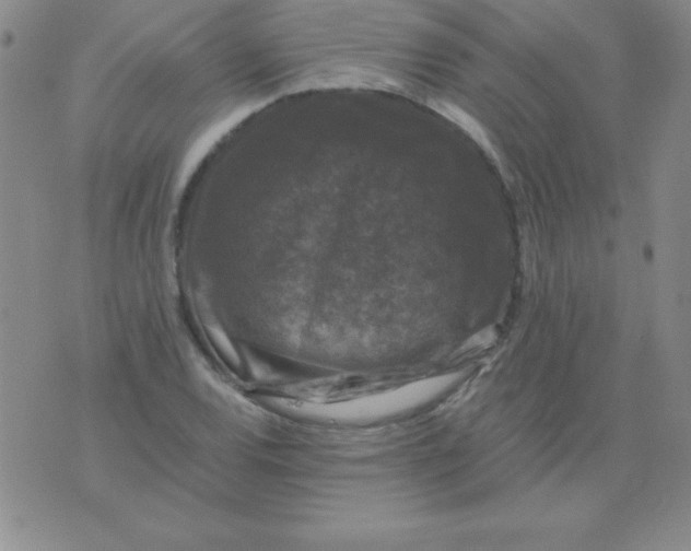 X0000075921120200610062201