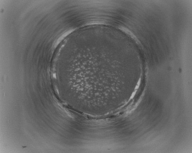 X0000075921121200610062201