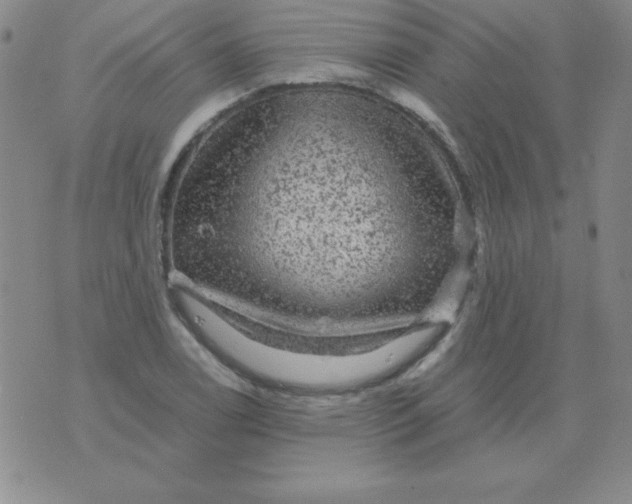 X0000075921122200610062201