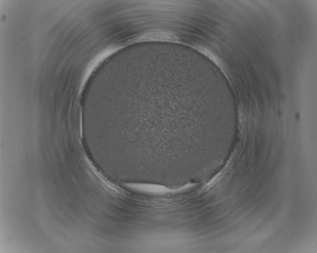 X0000075921123200610062201