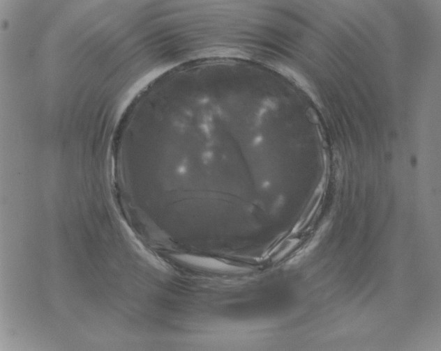 X0000075921125200610062201