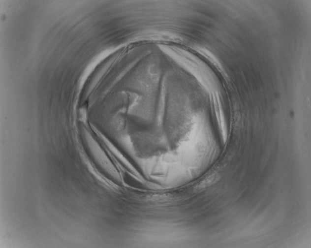 X0000075921128200610062201