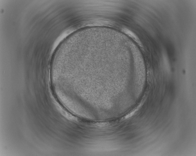 X0000075921130200610062201