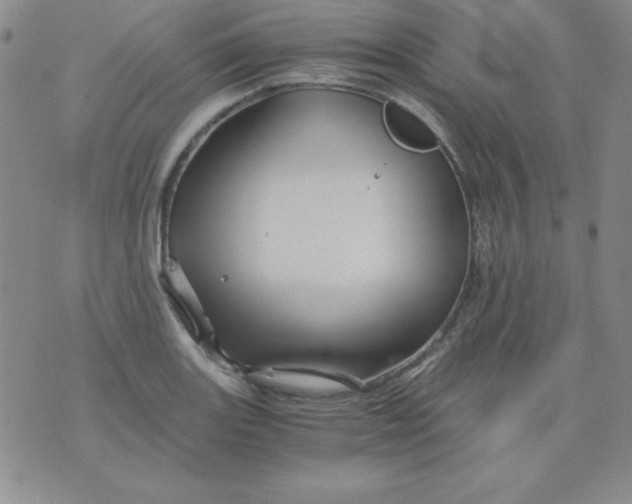 X0000075921131200610062201