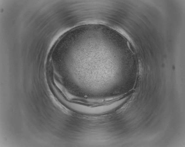 X0000075921132200610062201