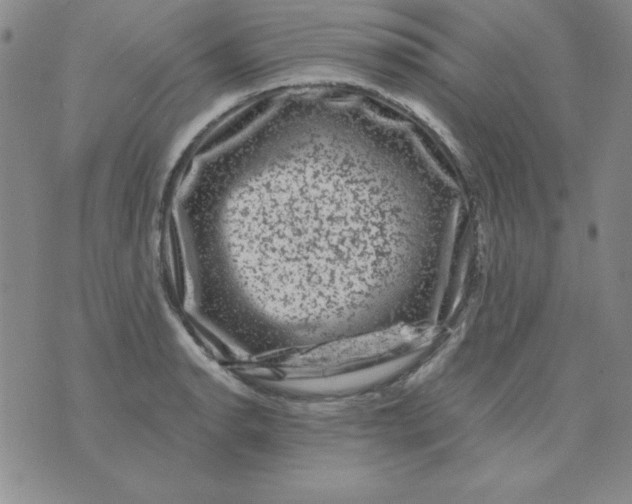 X0000075921134200610062201