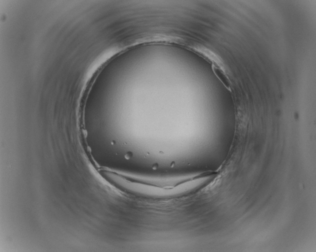 X0000075921135200610062201