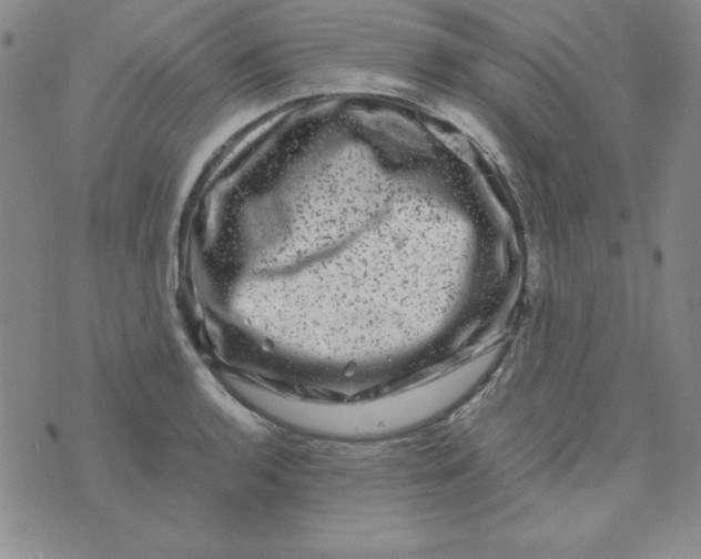 X0000075921136200610062201