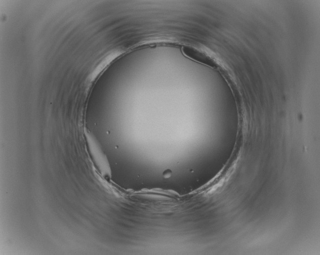 X0000075921137200610062201