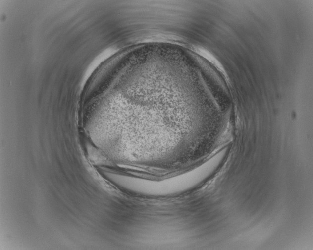 X0000075921138200610062201