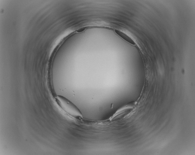 X0000075921139200610062201