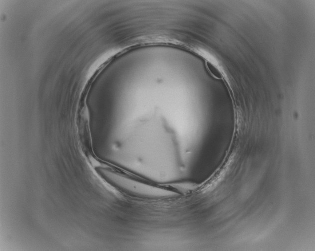 X0000075921141200610062201