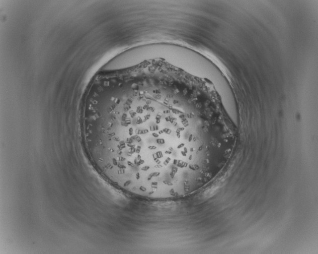 X0000075921142200610062201