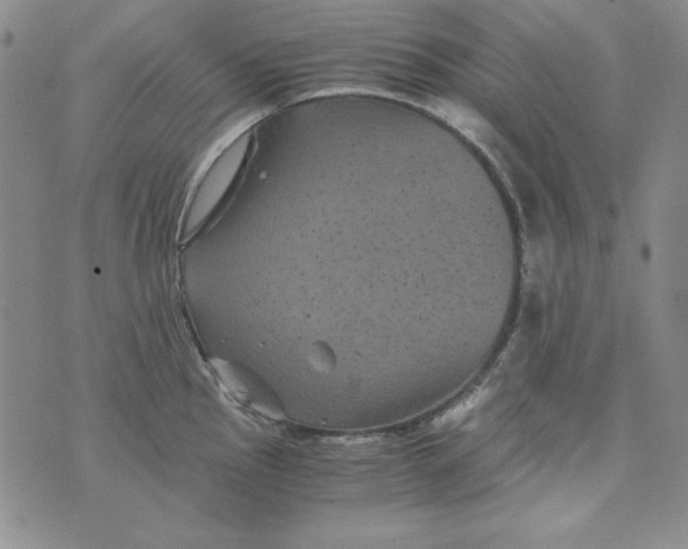 X0000075921145200610062201