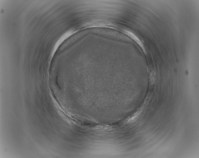 X0000075921146200610062201