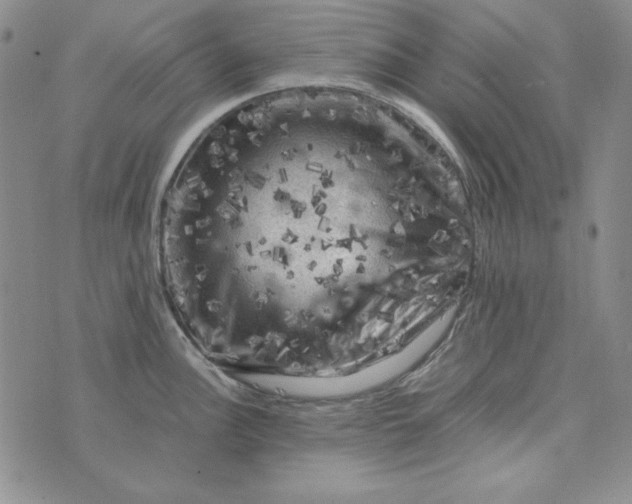 X0000075921148200610062201