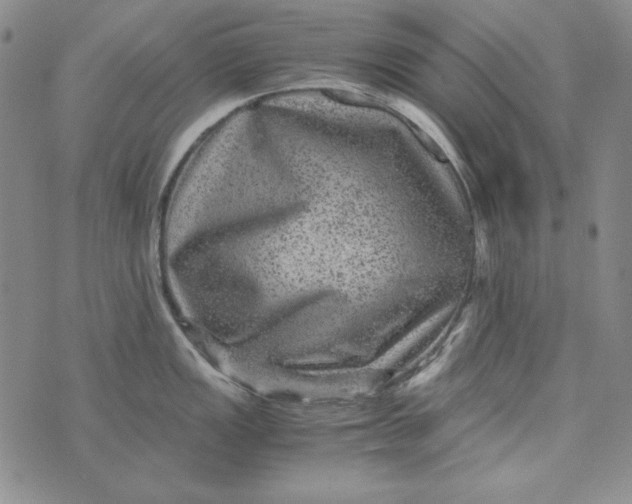 X0000075921149200610062201