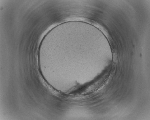 X0000075921150200610062201