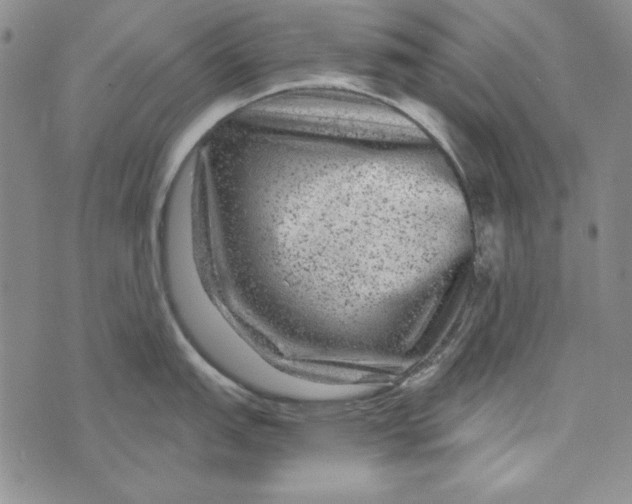 X0000075921151200610062201