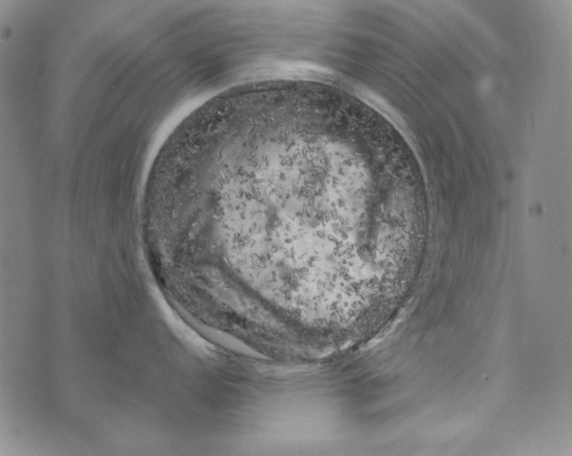 X0000075921152200610062201